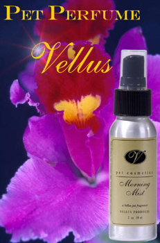 Vellus Morning Mist Fragrance